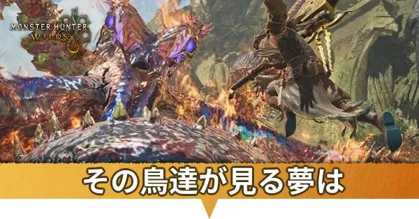 その鳥達が見る夢は