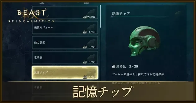 記憶チップ