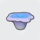 ちいさなサンゴ画像