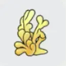 たてながサンゴ画像