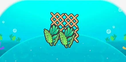 あみあみ海藻画像