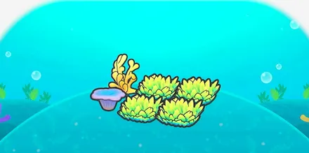 海底サンゴの草むら画像