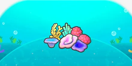 サンゴ大集合画像