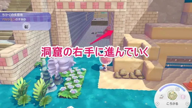 洞窟の右手