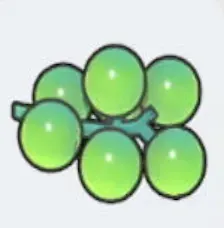 うみぶどう