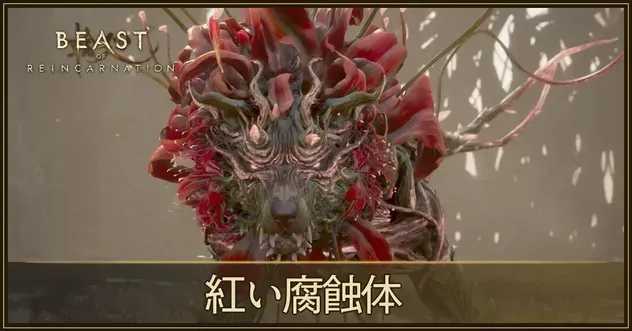 紅い腐蝕体の攻略