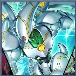 新パック発売