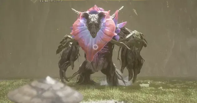 ヌシクマ