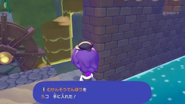 見た目