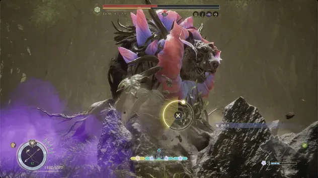 ヌシクマ