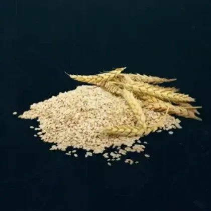 小麦画像