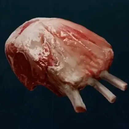獣の肉画像