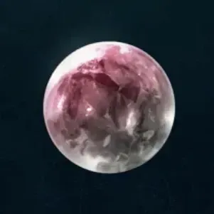 技の牙の技琥珀画像