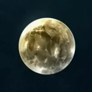 共鳴の牙の技琥珀画像