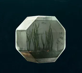 金魚鉢