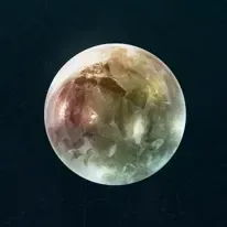回生の香の技琥珀画像