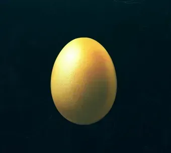 大きい金の卵