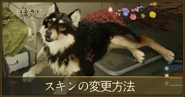 スキンの変更方法