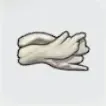 しろいりゅうぼく画像