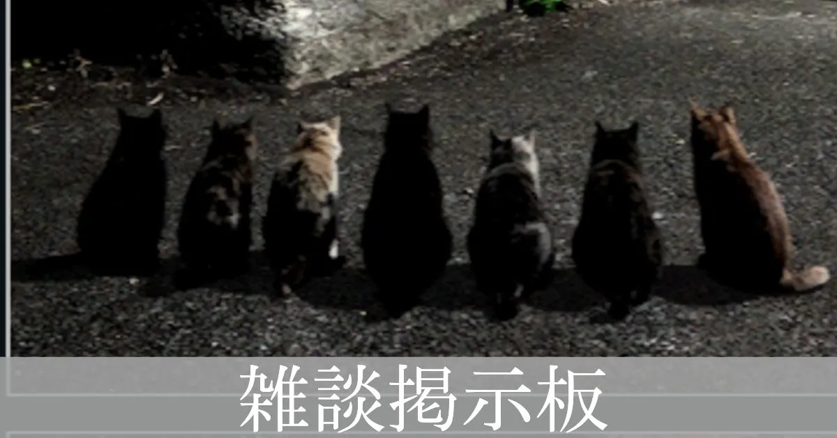 雑談掲示板