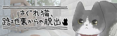はぐれ猫 ビジュアル
