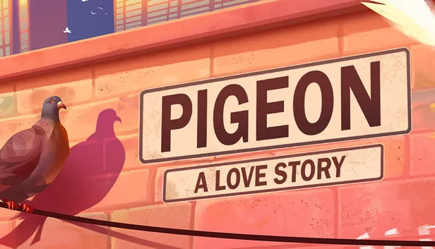 Pigeon