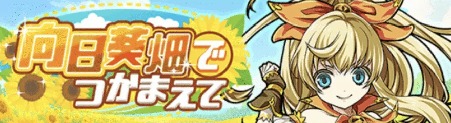 向日葵畑でつかまえて