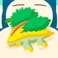 ハヤシガメの星4寝顔画像