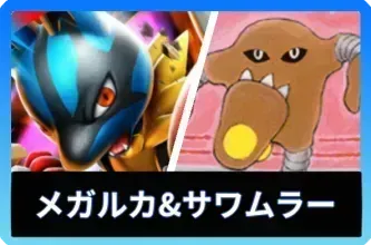 メガルカリオex＆サワムラーデッキ