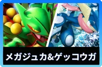 メガジュカインex＆ゲッコウガ