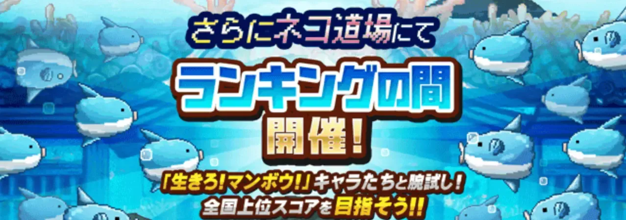 ランキングの間