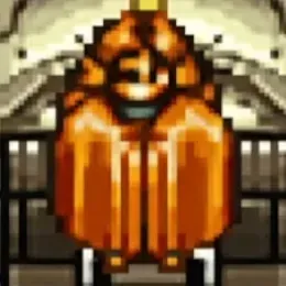 ダルトンR画像