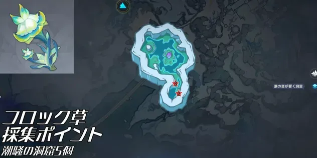 フロック草採集ポイント_潮騒の洞窟5個