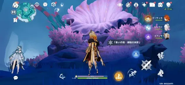 現地画像