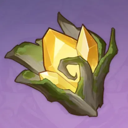 生命の絡み合う枝画像