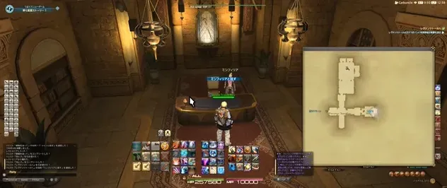 alt:ミンフィリアと話す