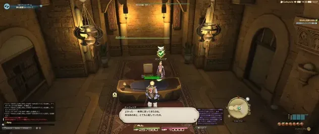 alt:ミンフィリアに報告