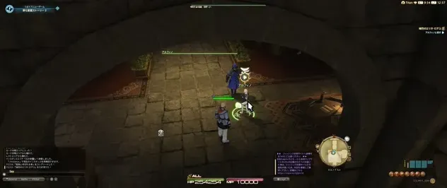 石の家のアルフィノ