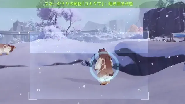 クマ1