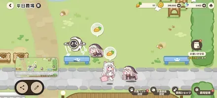 ニンジン回収