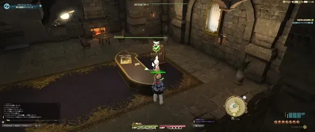 alt: 石の家のミンフィリアと話す