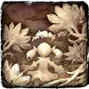 綺麗なお花がいっぱい