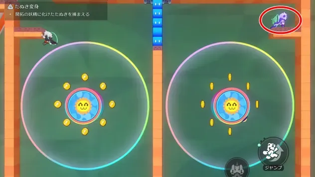 狸場所