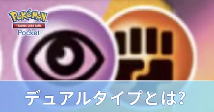 デュアルタイプとは?