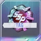 タグ専用SSP化チップ