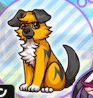 名犬ラッキーの画像