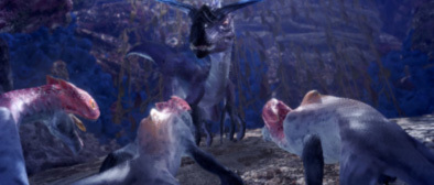 シャムオスの画像