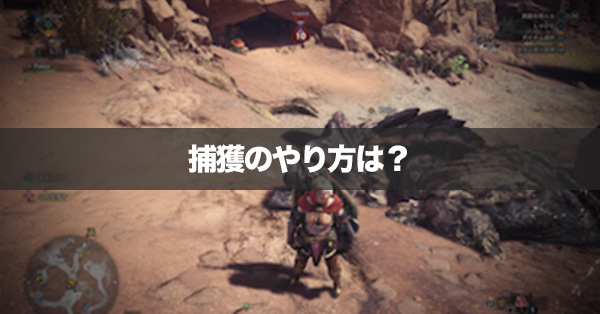 Mhwアイスボーン 捕獲の方法とタイミングの目安 モンハンワールド ゲームエイト