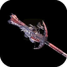 モンハンワールド Mhw レウスバスターの派生と強化素材 ゲームエイト