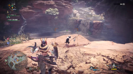 テトルーの捕獲方法